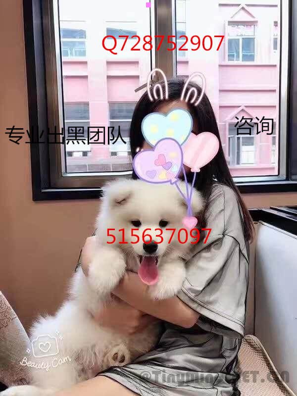 网上赌博提款过程中出现系统抽查维护无法出款怎么办？