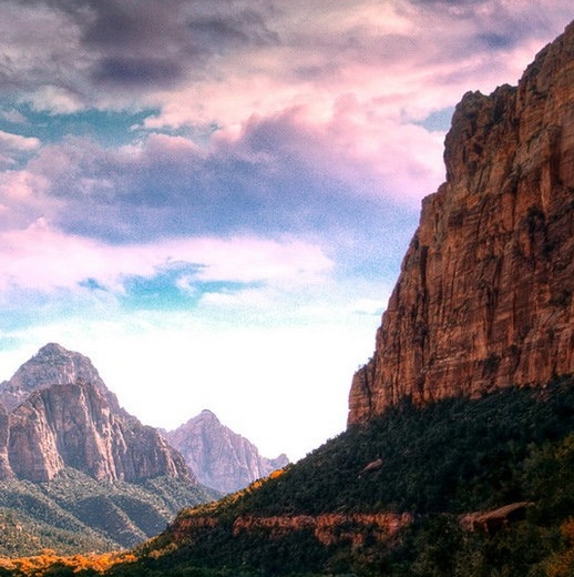 网易没有微博了吗