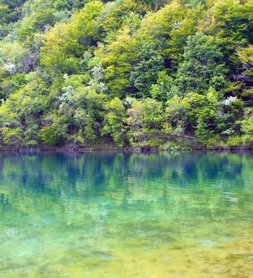 泰山可以全程索道吗