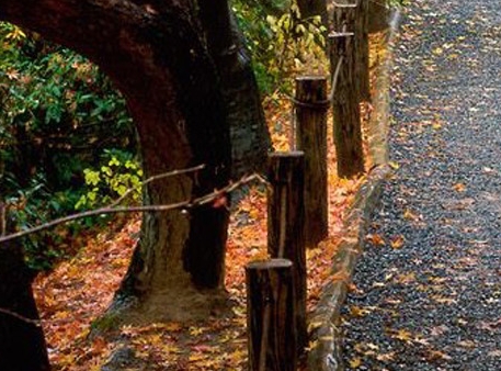 恩施大峡谷公司