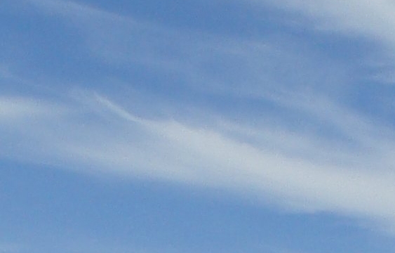 阿兰娜·乌巴赫