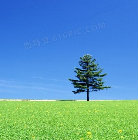 北京旅游导游联系