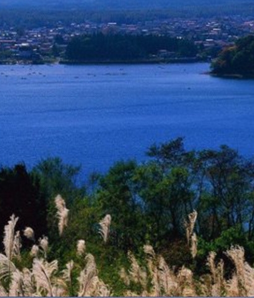 广州花都马鞍山公园