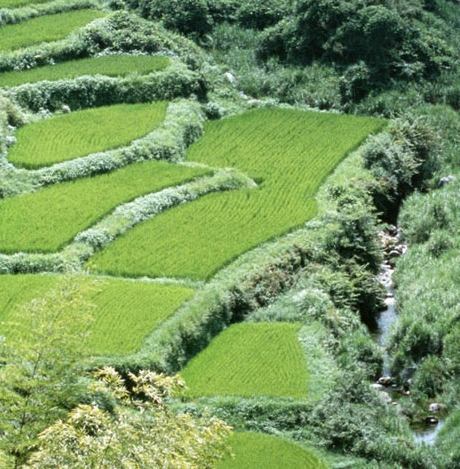 点我达总部