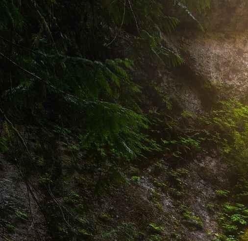 大家都在讨论的找高薪工作的国内高危高薪工作招聘