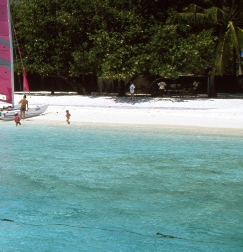 武汉周黑鸭工厂官网