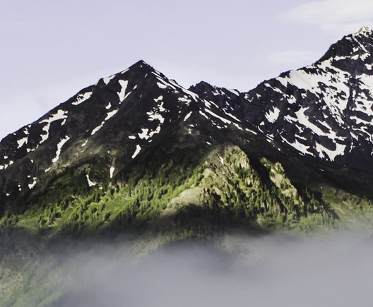 香港叮叮车多久一班