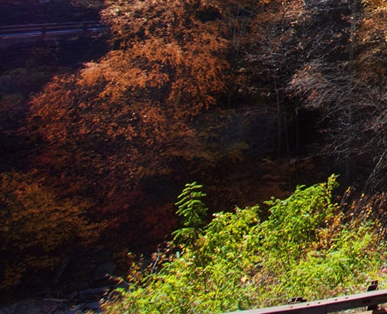 北京旅游网上预约