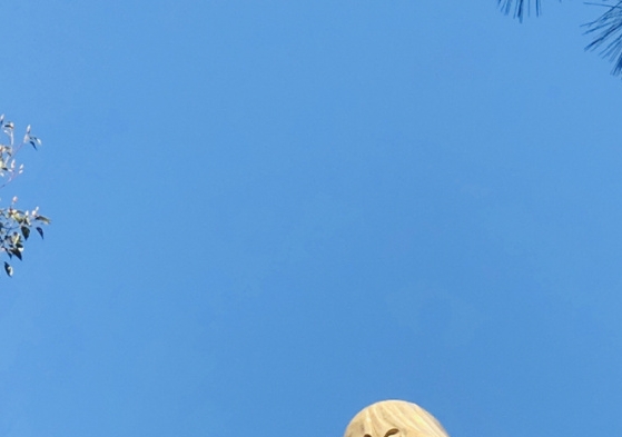免费人才招聘网站