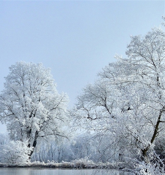 武汉周黑鸭总部地址