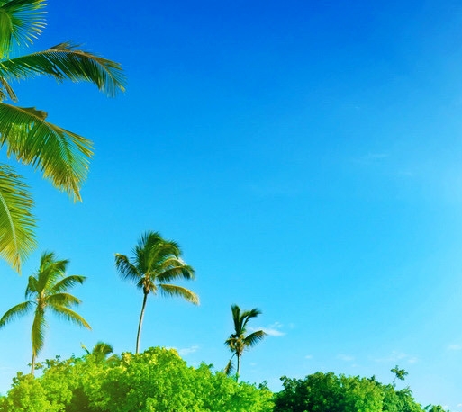 北京十大旅行社