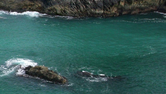 来自深渊第三季什么时候出