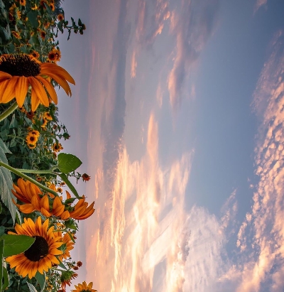 周村深圳餐馆订餐电话