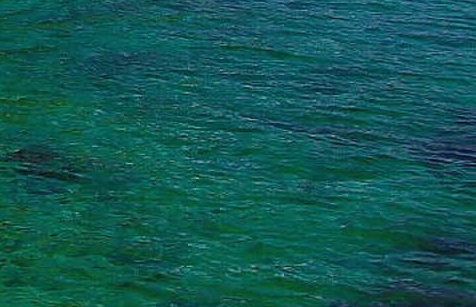 远方的家沿海行全集