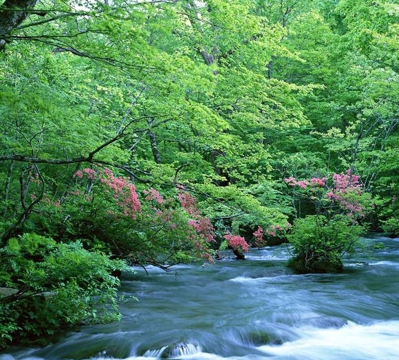 德国对墨西哥历史战绩