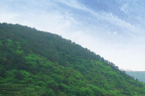 引得市