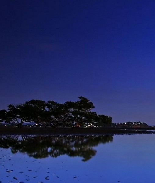 劳动力市场招工