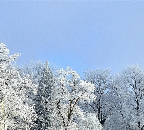 shockwave是什么牌子