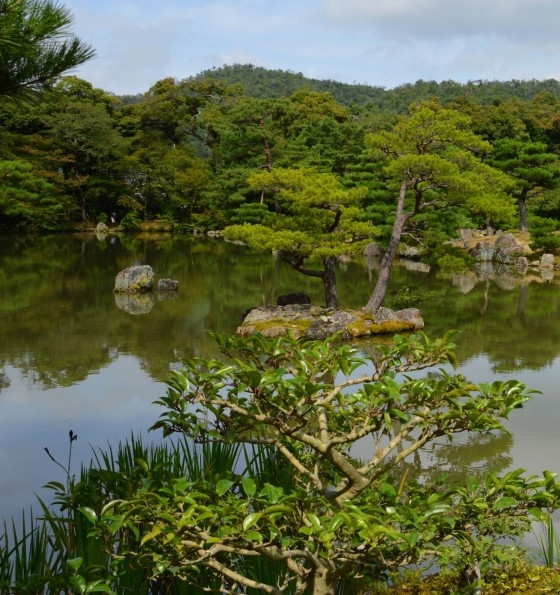 学生制作贺卡图片