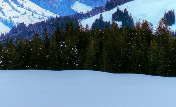 新年贺卡立体手工制作图片儿童