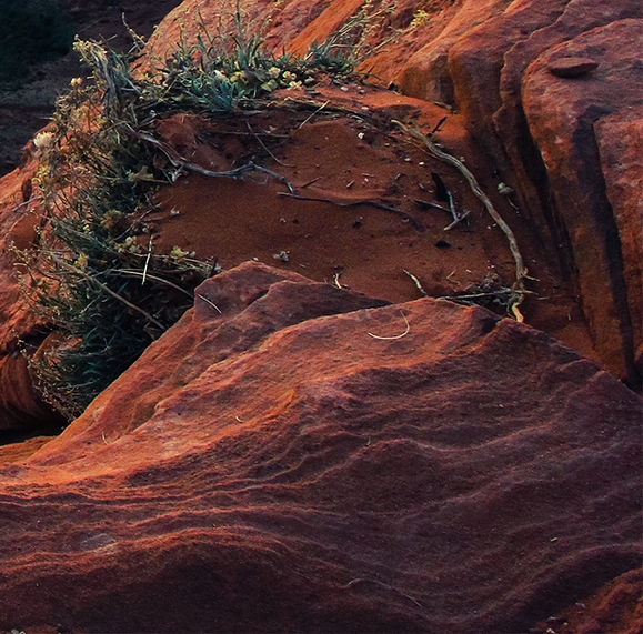 dnf2017国庆套赠品