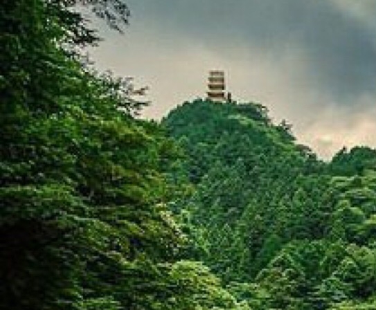 保利电影院官网