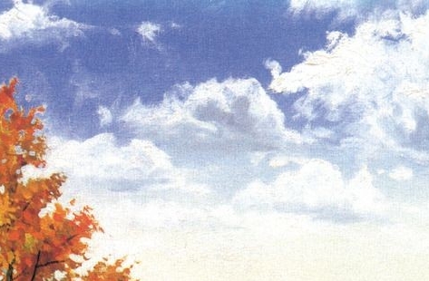 zfy可以有什么名字