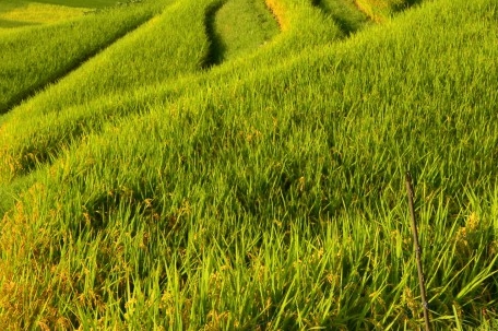 湛江美丽假期旅行社招聘