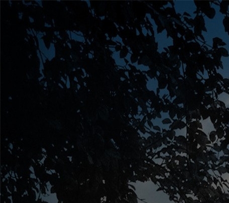 兴县人民政府网站