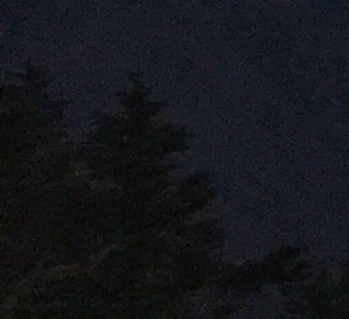 命危于晨露