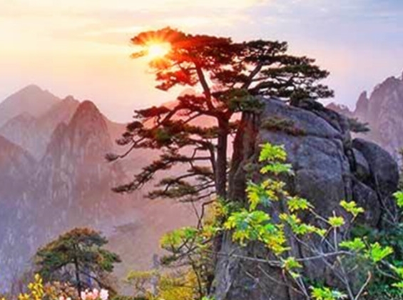 古代的抚州是现在的哪里
