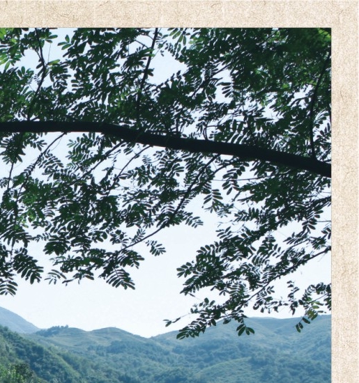北方有什么好玩的旅游景点