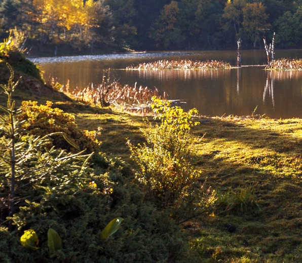 赣榆和安湖国际大酒店