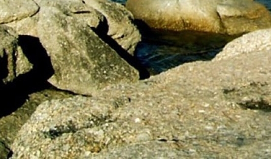 央视直播失误集锦