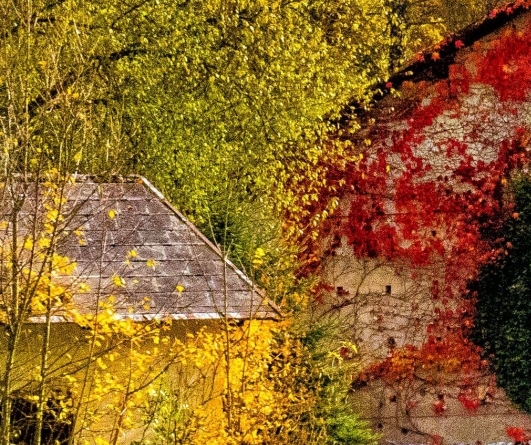 神农发现茶的故事图片