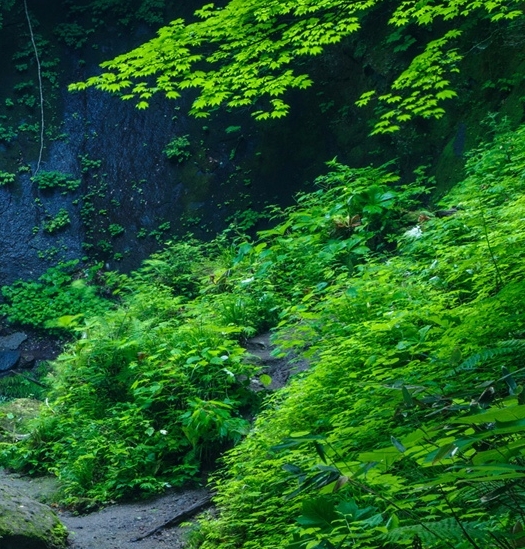 论坛平台