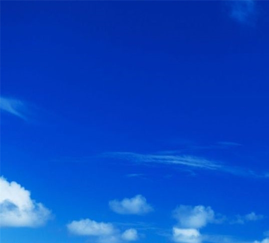 马科斯夫人与小马科斯介绍