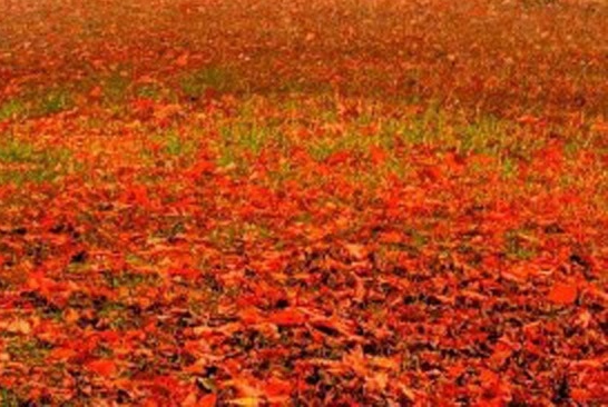 渔公码头海鲜礼盒价格