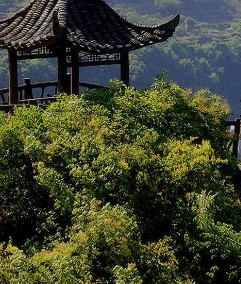桃源仙村极品石头