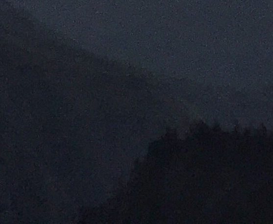 蜂蜜