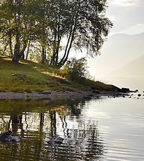 柳宗元蝜蝂传翻译