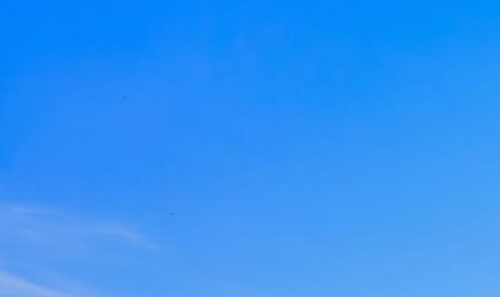 中国最认可的法国大学