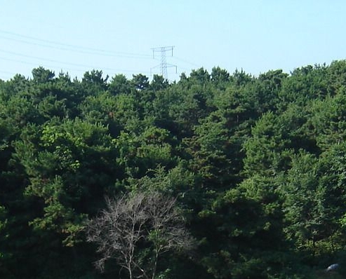 两个极端比喻的词语