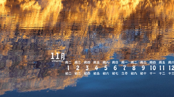 杨照视频