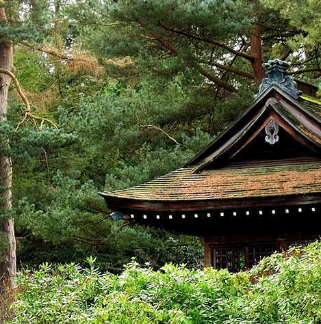 鄂建办官网