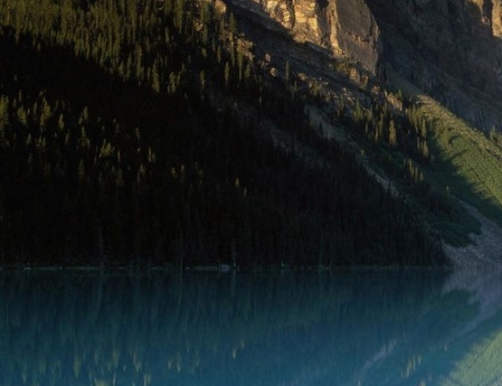 岁序逡巡是什么意思