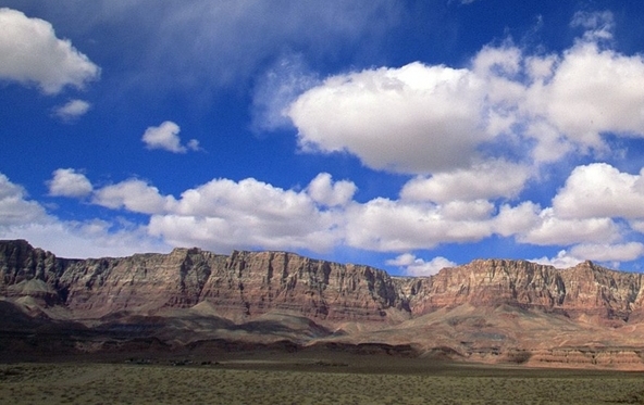 九国之师逡巡而不敢进