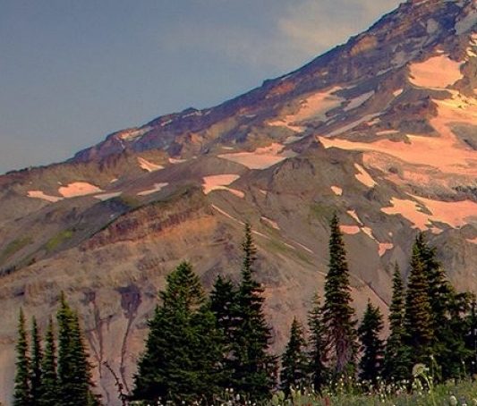 山东人体冷冻展文莲