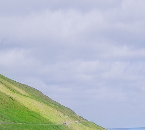 美是到处都有的