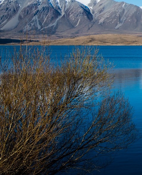 姚姓男宝宝起名